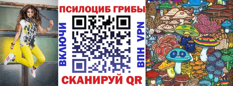 купить   Онега  Галлюциногенные грибы Psilocybine cubensis 